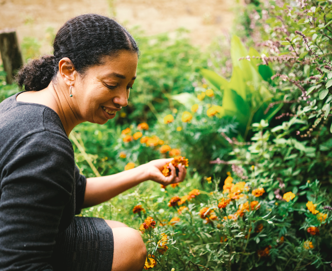 Welcome to the Garden