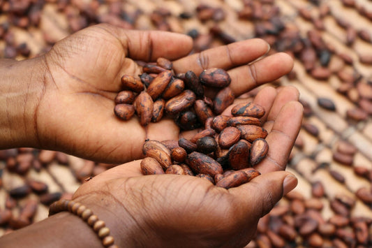 Tracing the Legacy of Cacao in Maya Marriage Rituals